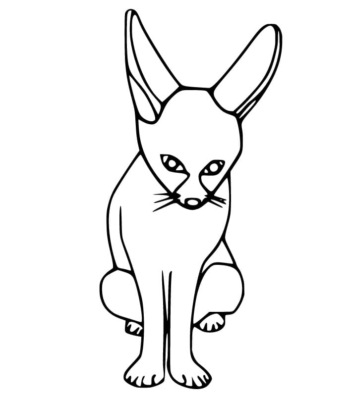 Easy Fennec Fox