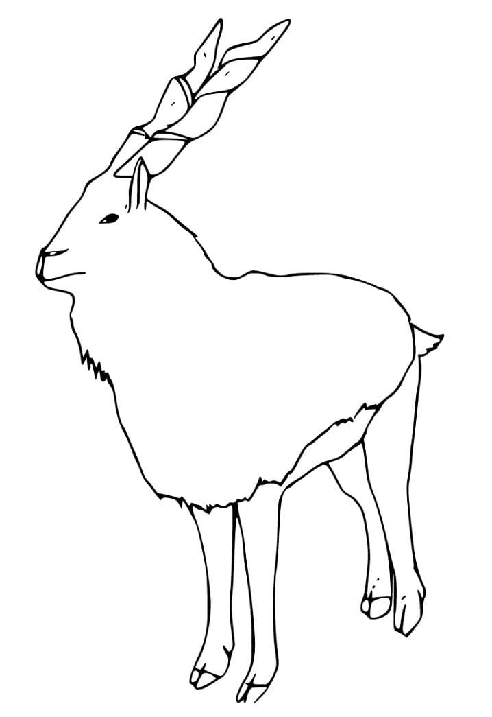 Easy Markhor