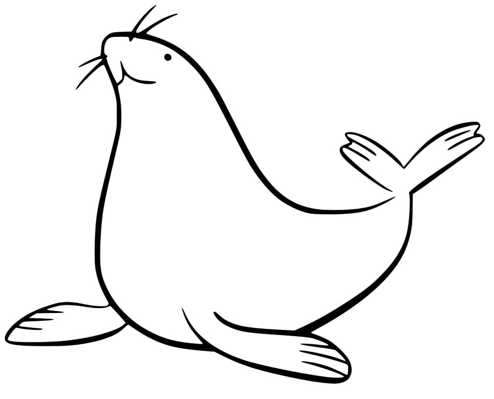 Easy Sea Lion Coloring Game Easy Sea Lion