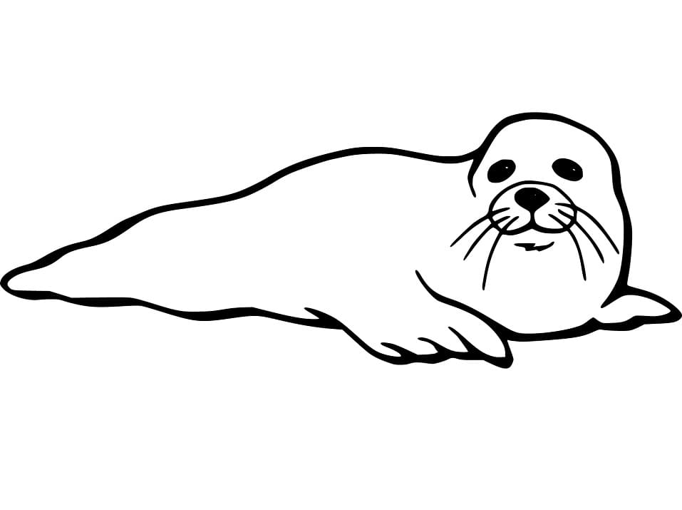 Easy Seal
