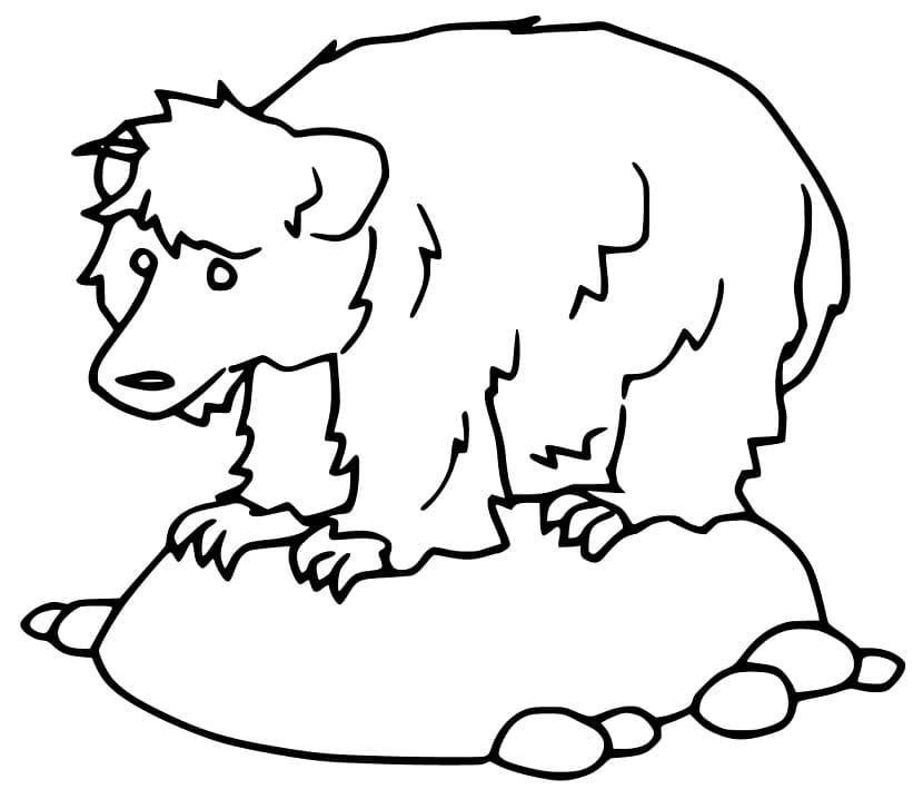 Easy Sloth Bear coloring page Coloring Game Easy Sloth Bear coloring page