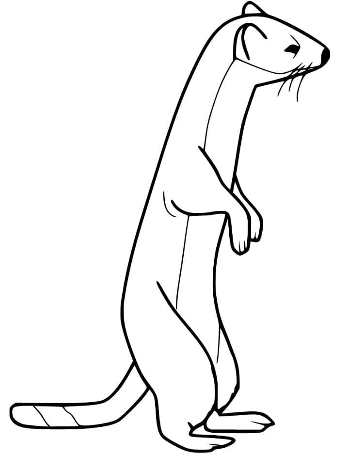 Easy Weasel Coloring Game Easy Weasel
