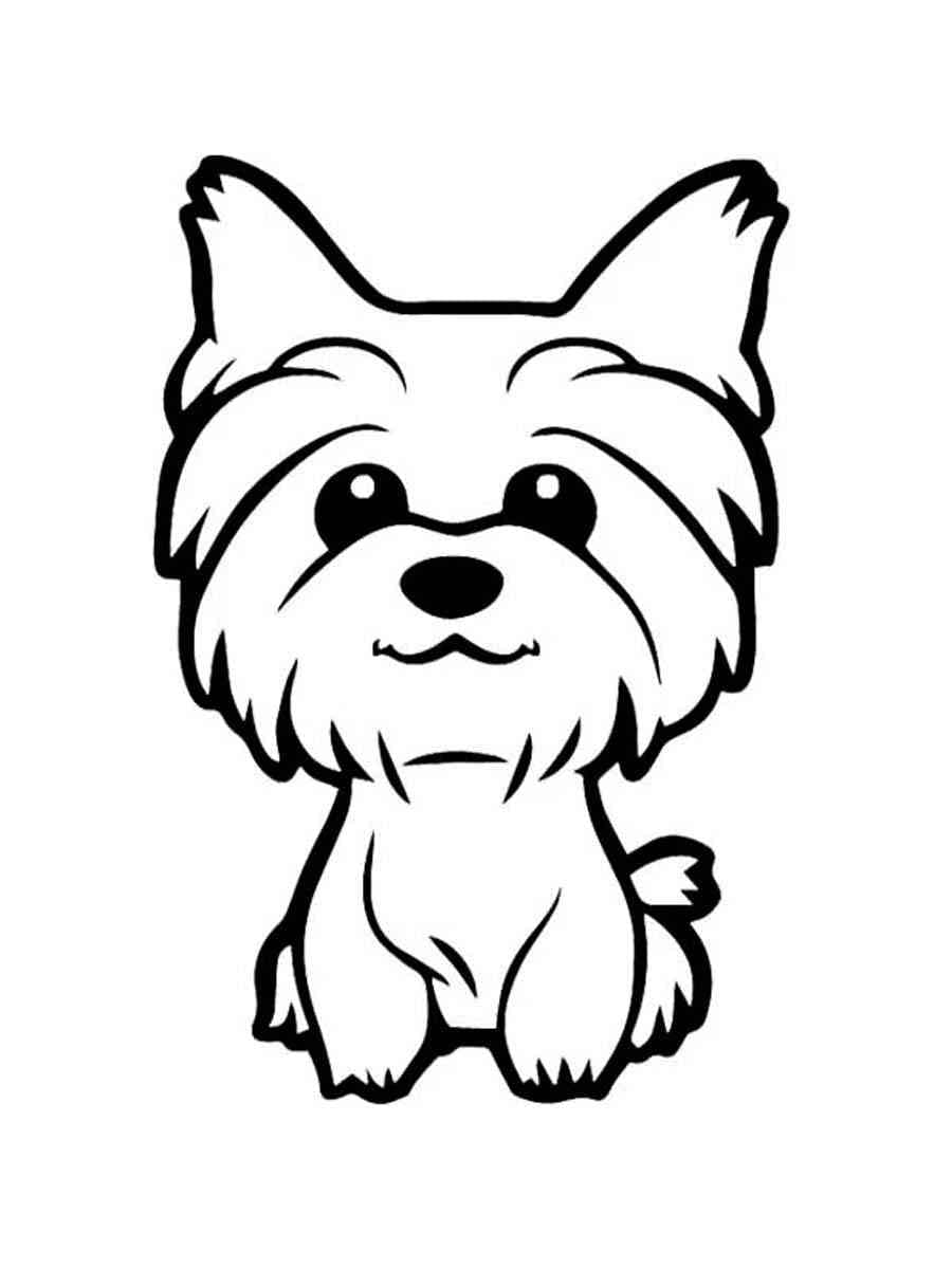 Easy Yorkie