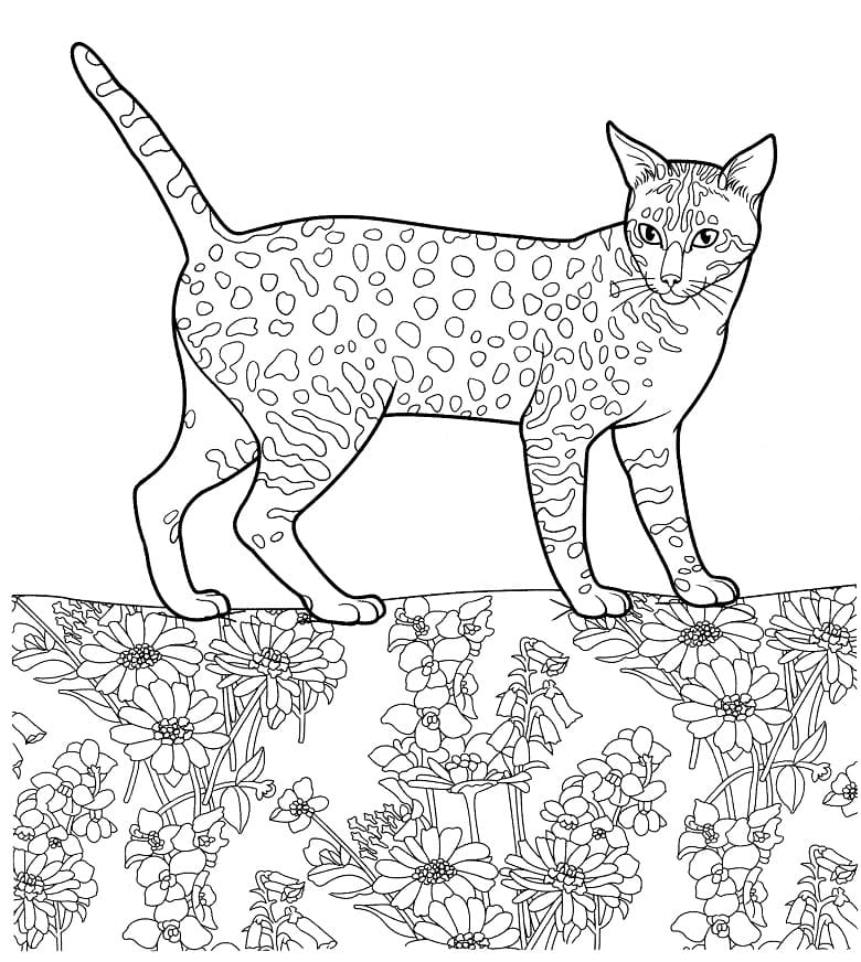 Egyptian Mau Cat Coloring Game Egyptian Mau Cat
