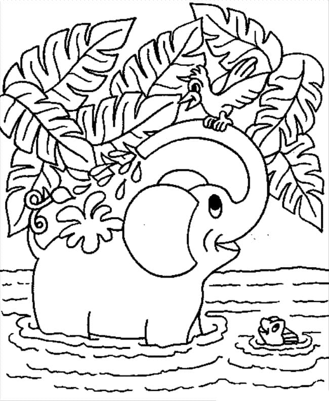 Elephant and Bird