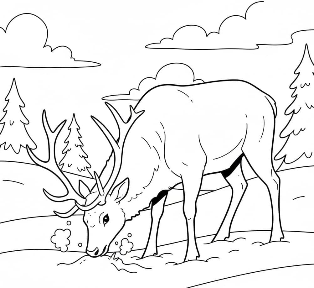 Elk Foraging in Snow