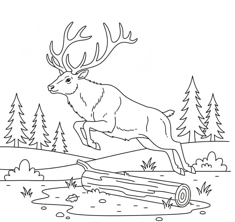 Elk Jumping