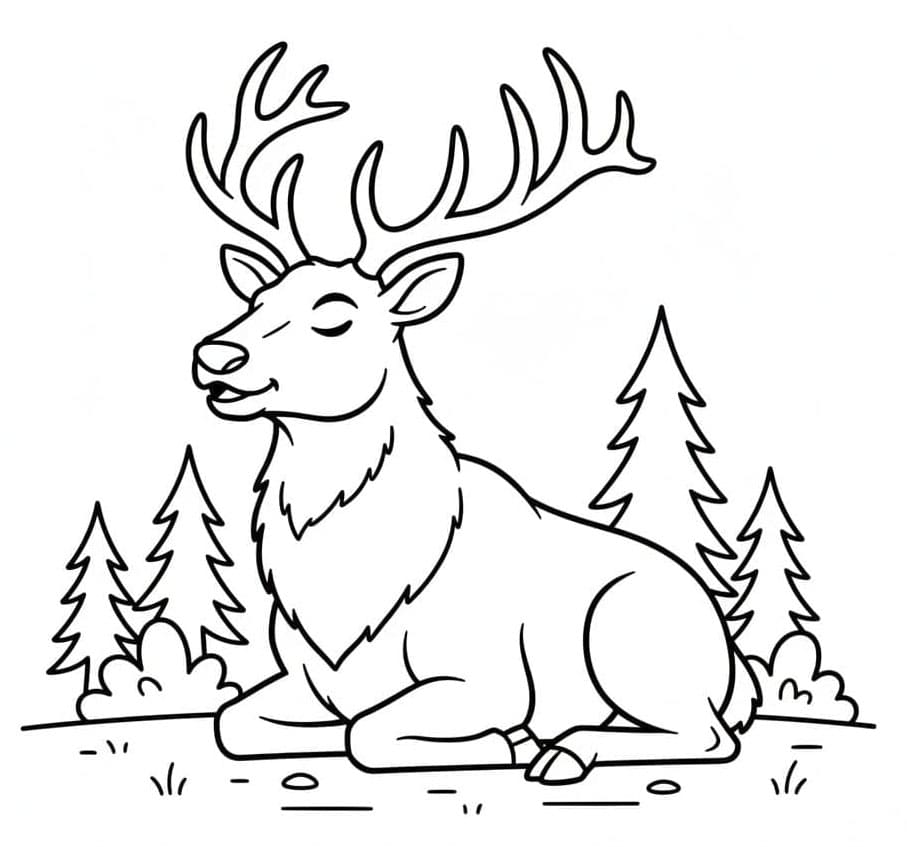 Elk Ruminating