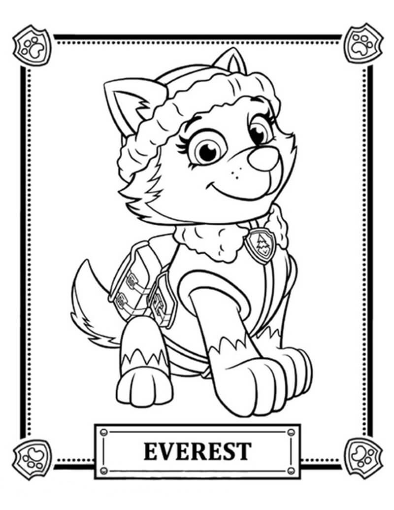 Everest Paw Patrol