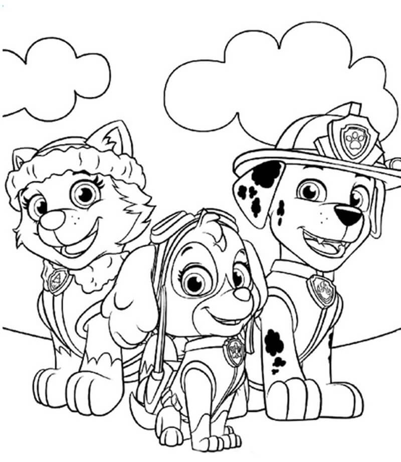 Everest Skye and Marshall in Paw Patrol