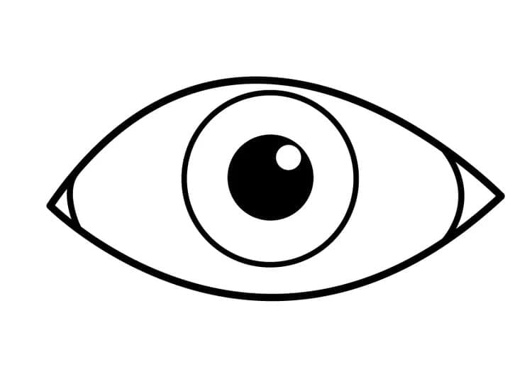 Eye 23