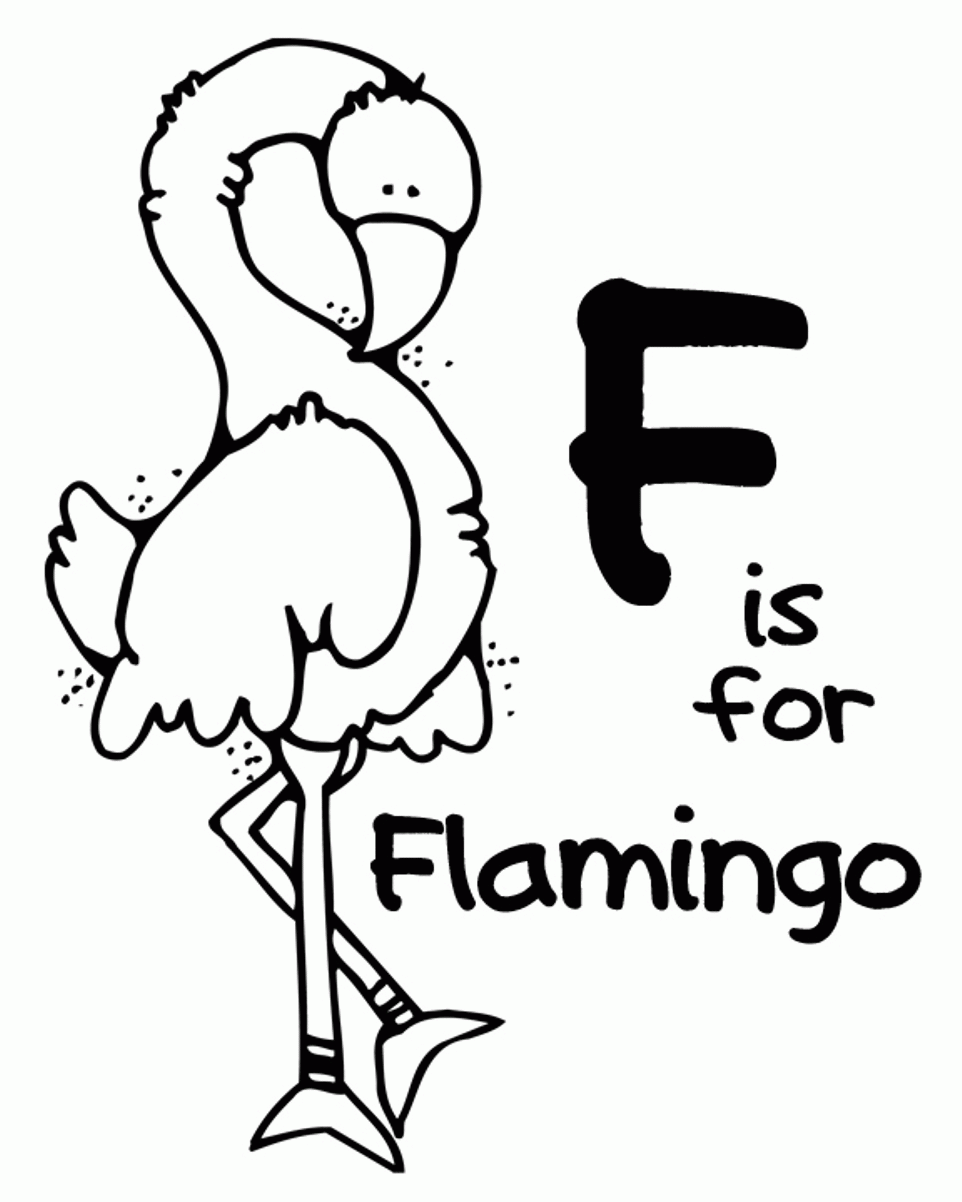 F for Flamingo