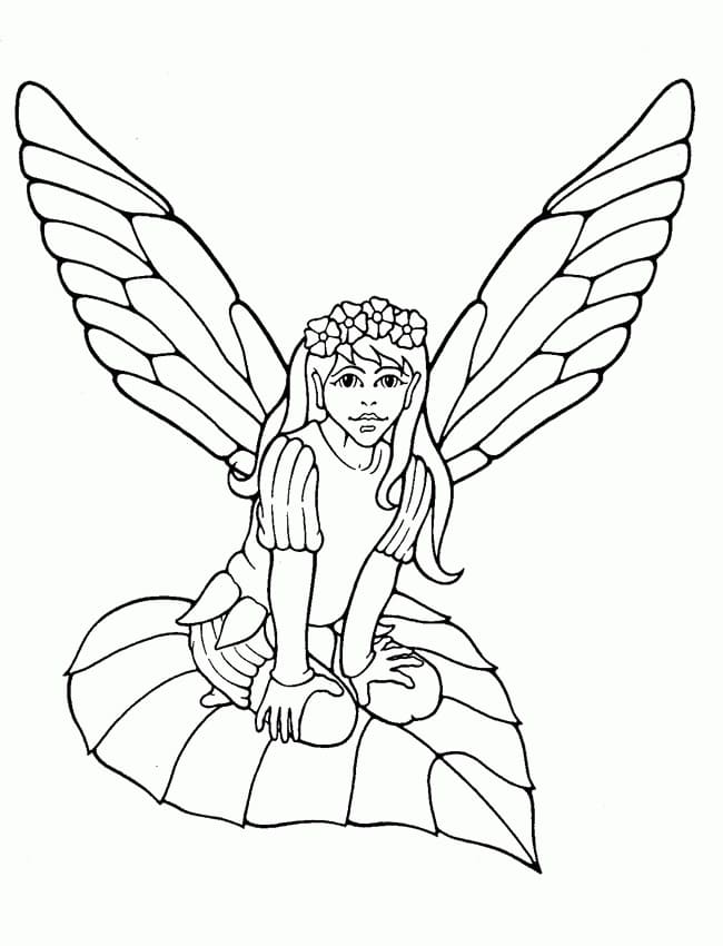 Fairy Sitting on Leaf Coloring Game Fairy Sitting on Leaf