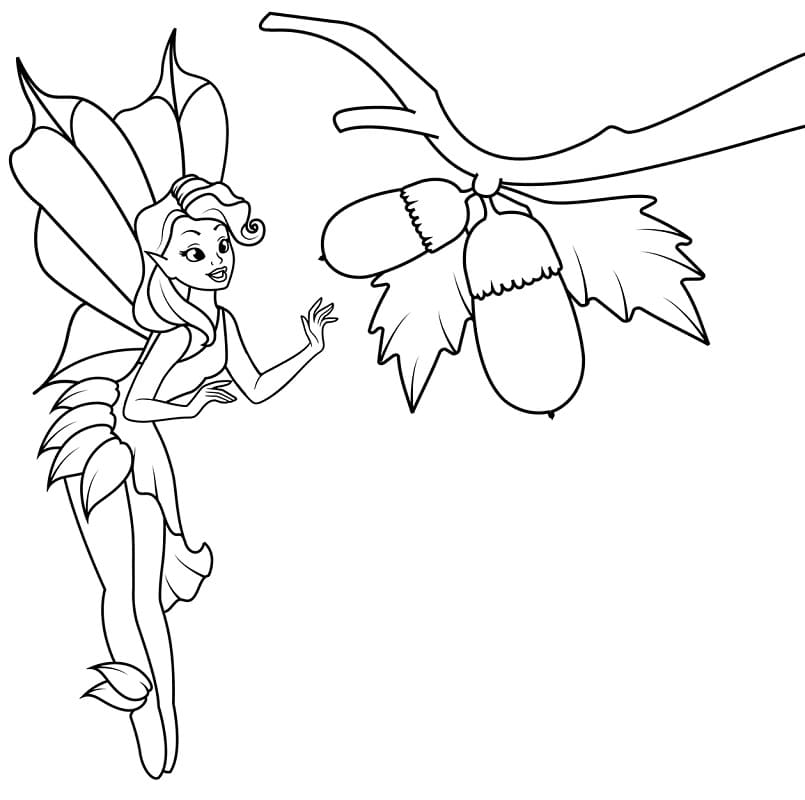 Fairy and Acorns Coloring Game Fairy and Acorns