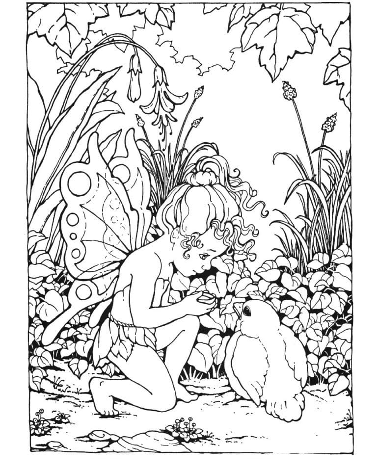 Fairy and Bird Coloring Game Fairy and Bird