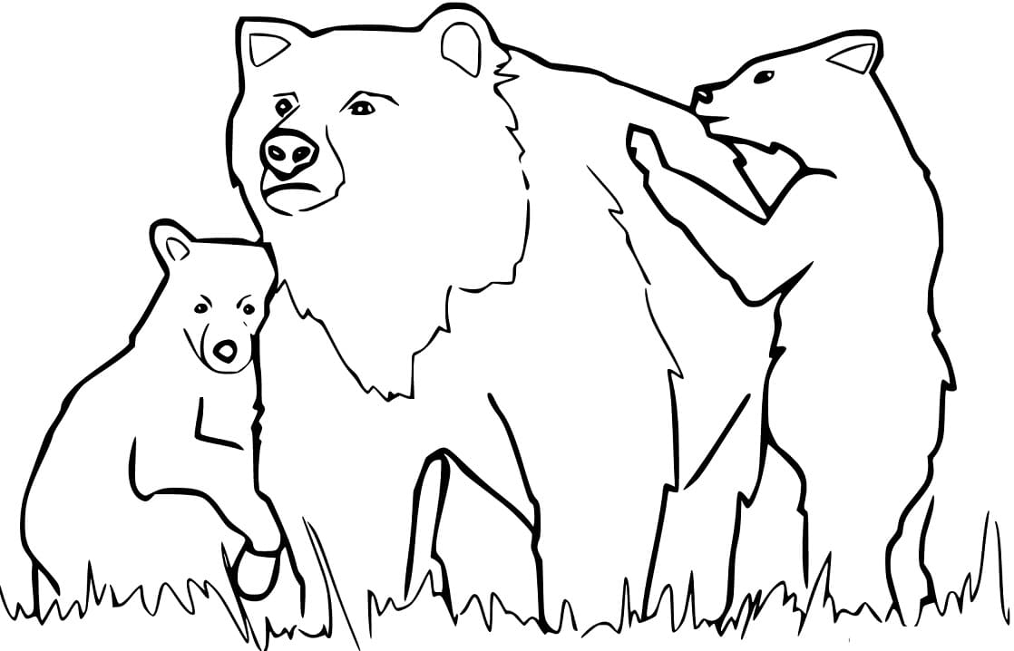 Family Black Bears Coloring Game Family Black Bears