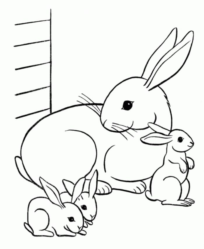 Family Rabbits Coloring Game Family Rabbits