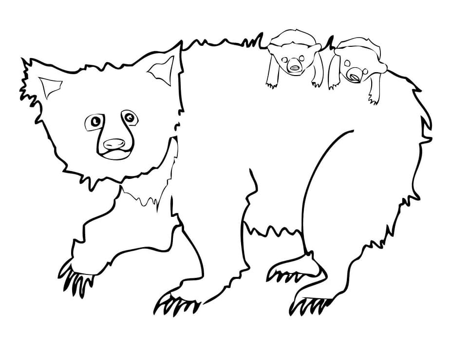 Family Sloth Bears Coloring Game Family Sloth Bears