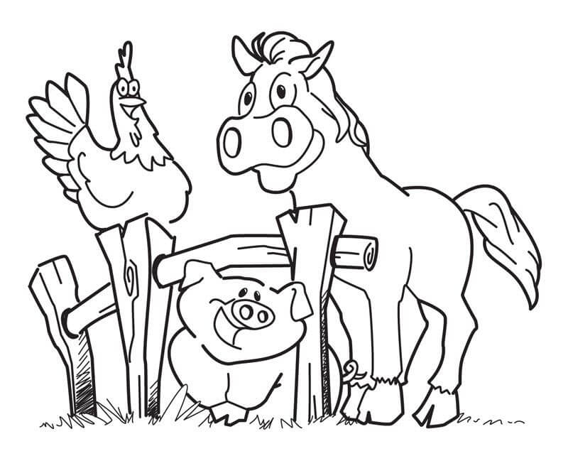 Farm 5 Coloring Game Farm 5