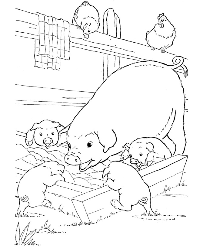 Farm Pigs Coloring Game Farm Pigs