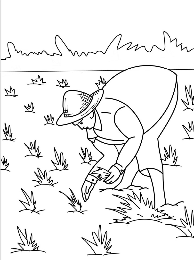 Farmer Working 1