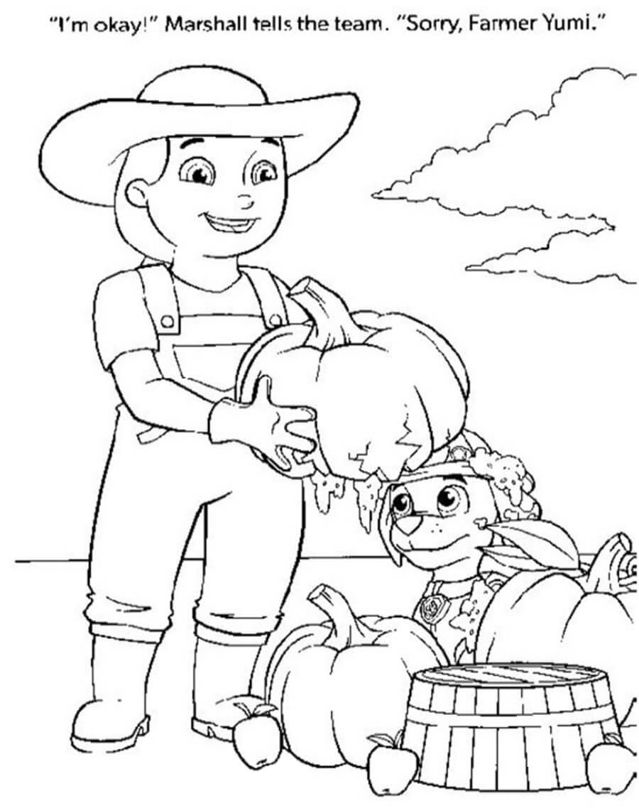 Farmer Yumi Harvests Pumpkin