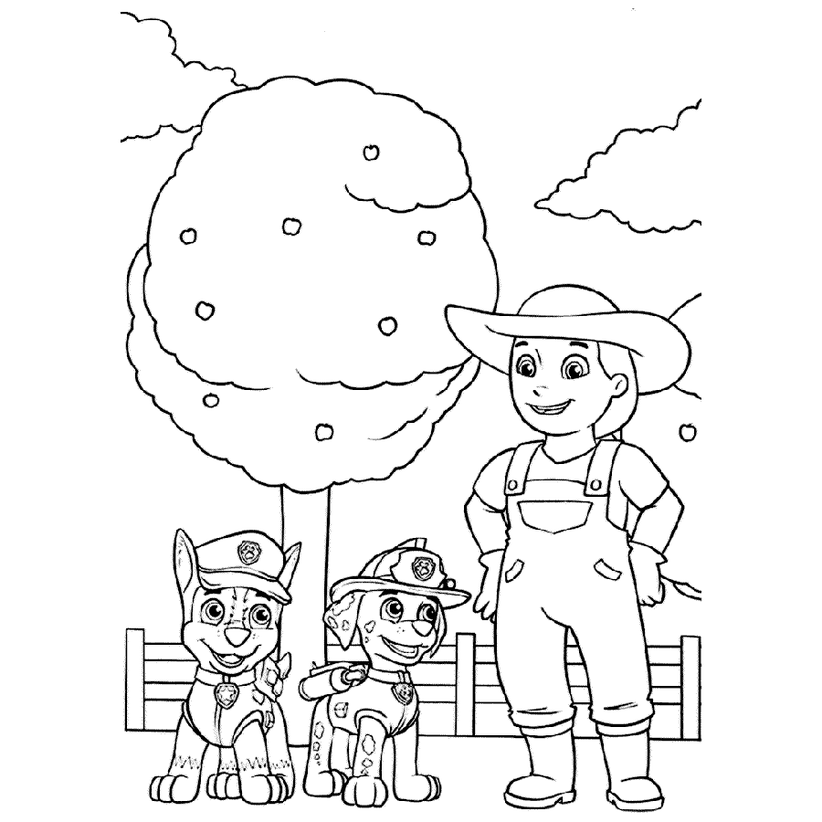 Farmer Yumi in Paw Patrol