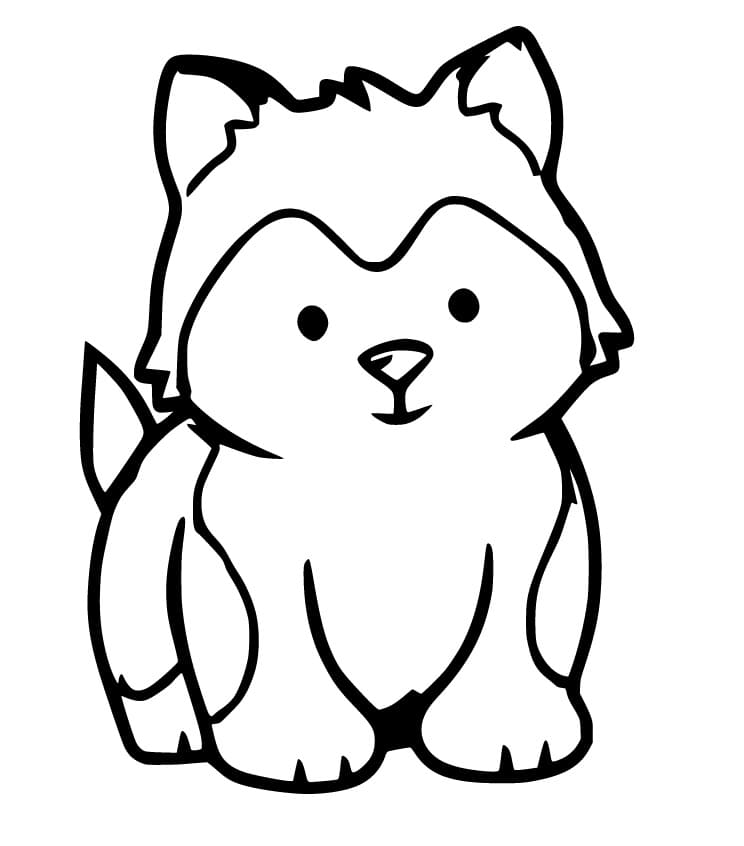 Fat Cute Fox Coloring Game Fat Cute Fox