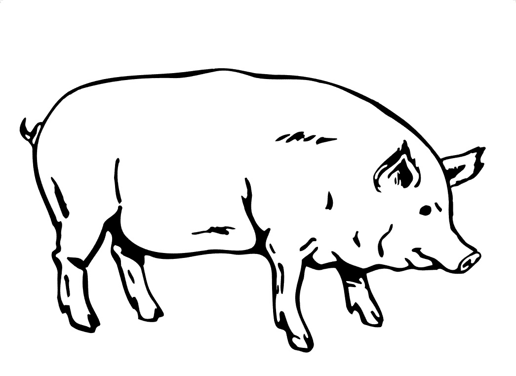 Fat Pig Coloring Game Fat Pig