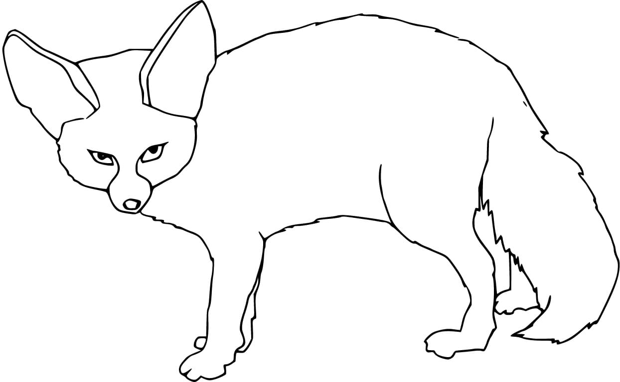 Easy Fennec Fox Coloring - Play Free Coloring Game Online