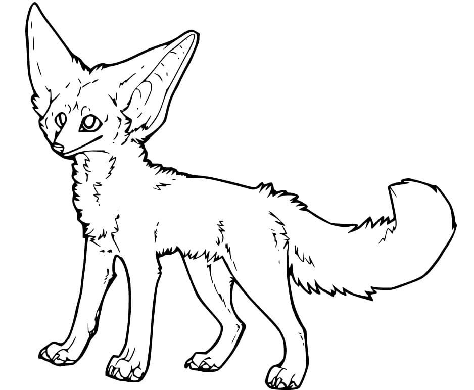 Fennec Fox 3