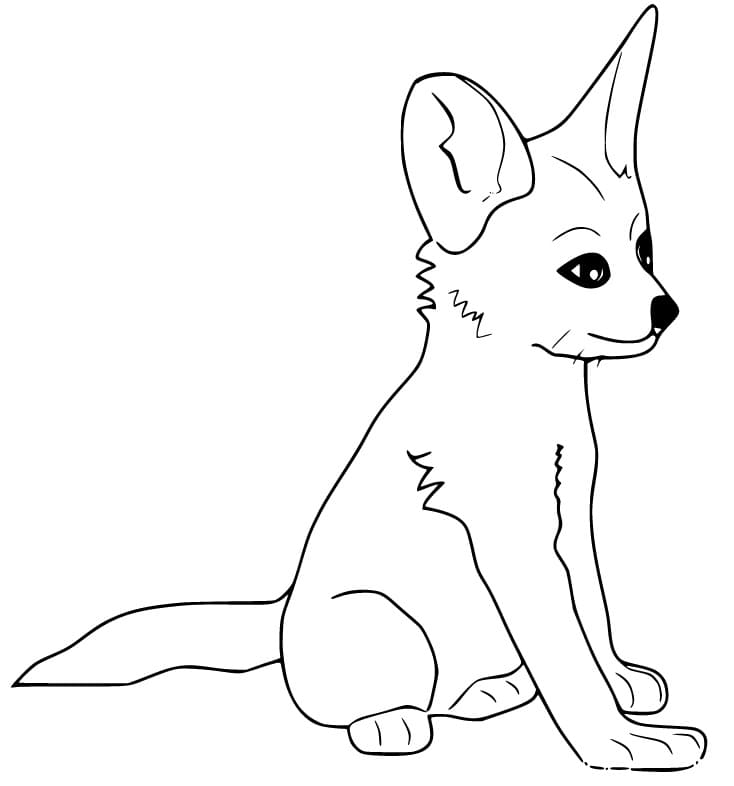 Fennec Fox Cute Coloring Game Fennec Fox Cute