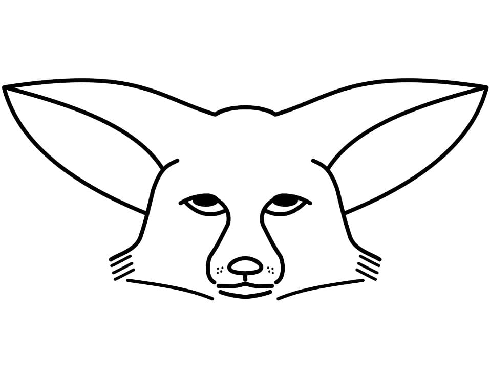 Fennec Fox Face