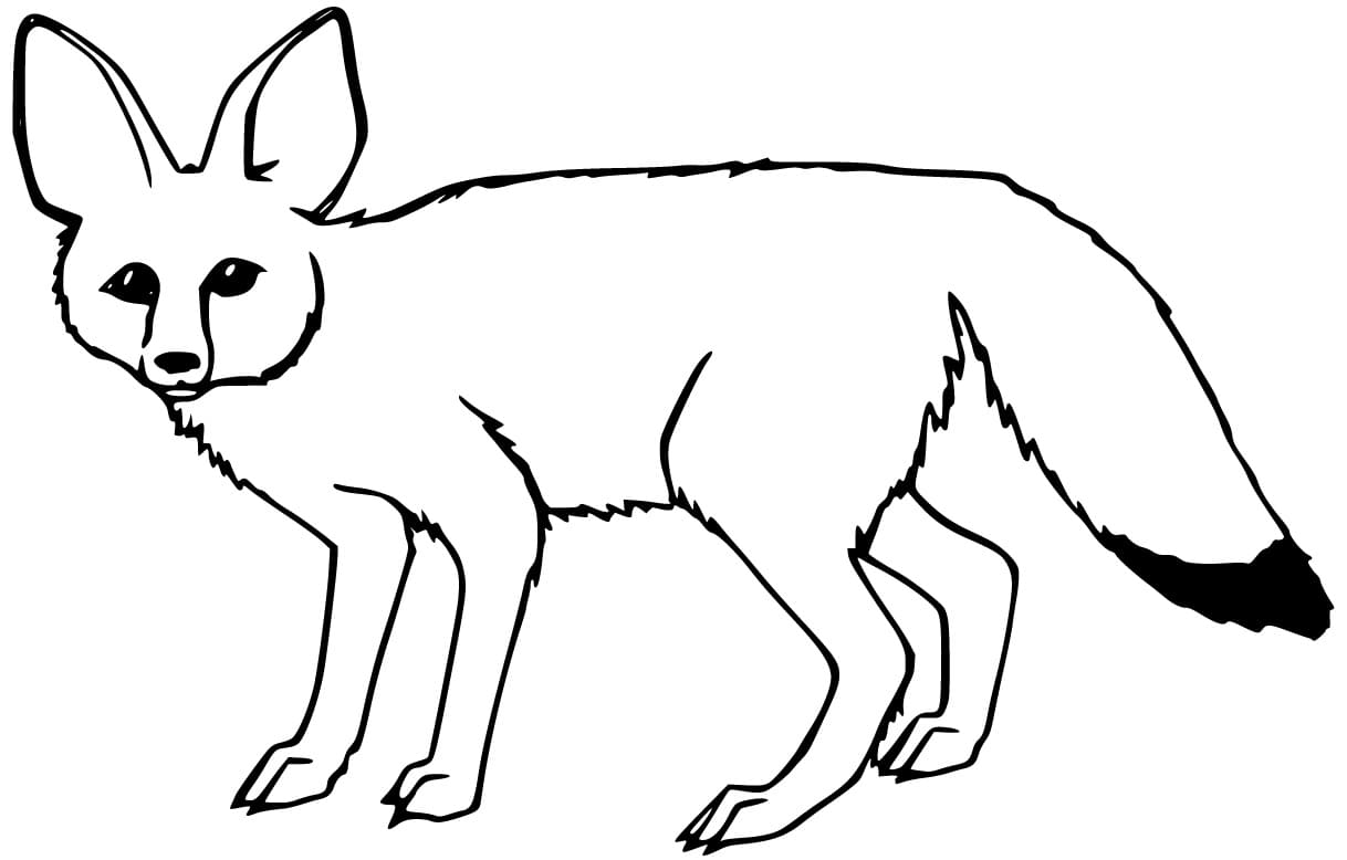 Easy Printable Fennec Fox Coloring - Play Free Coloring Game Online
