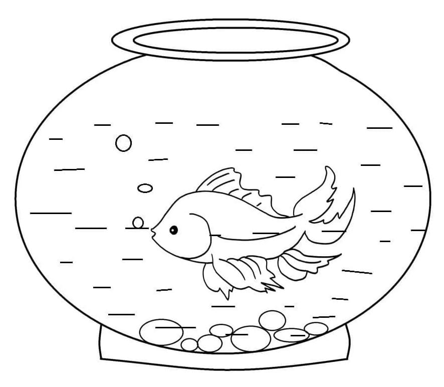 Fish Bowl Free