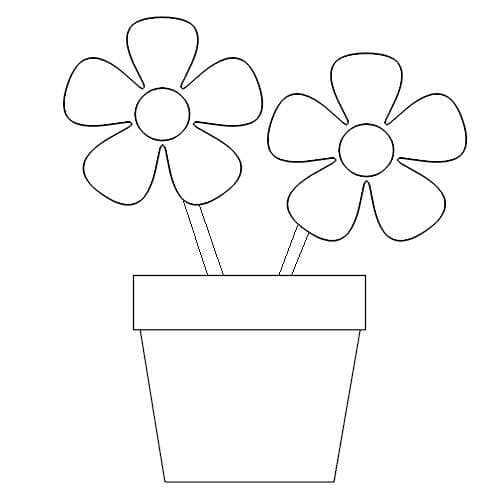 Flower Pot 3