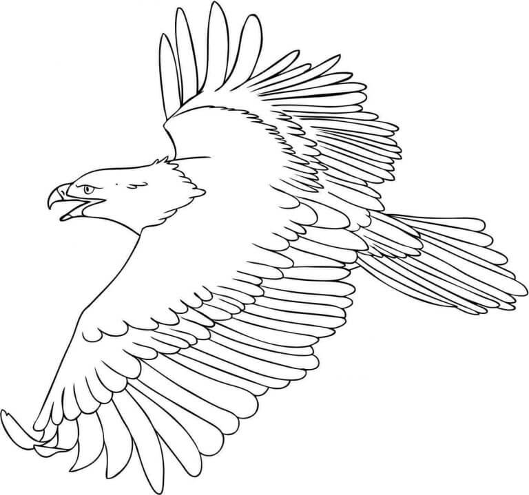 Fly Eagle Coloring Game Fly Eagle