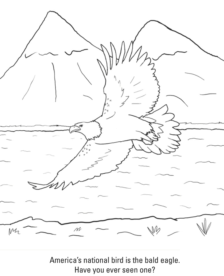Flying Bald Eagle Coloring Game Flying Bald Eagle