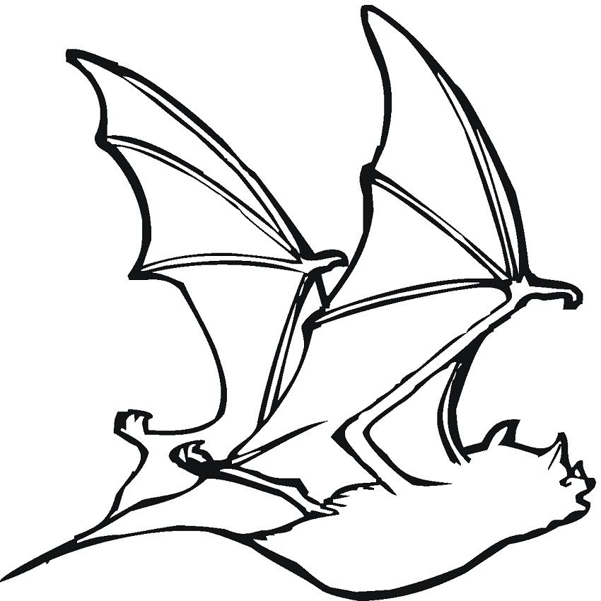 Flying Bat