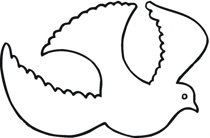 Flying Pigeon Coloring Game Flying Pigeon
