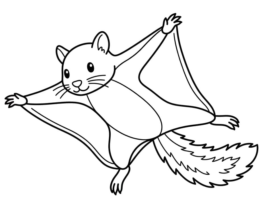 Flying Squirrel Free Printable