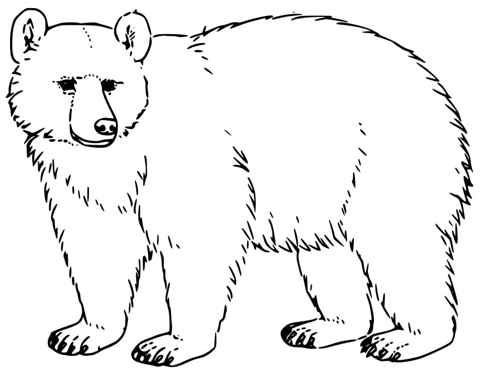 Free Black Bear Coloring Game Free Black Bear