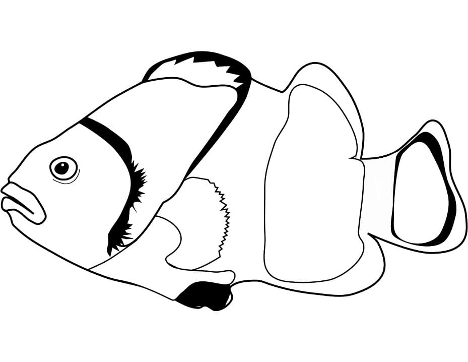Free Clownfish Coloring Game Free Clownfish