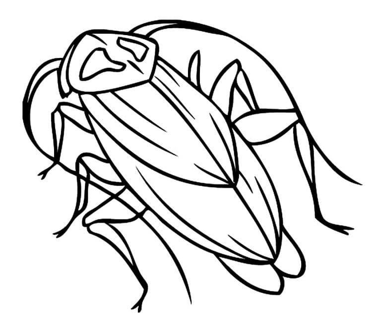 Free Cockroach Coloring Game Free Cockroach