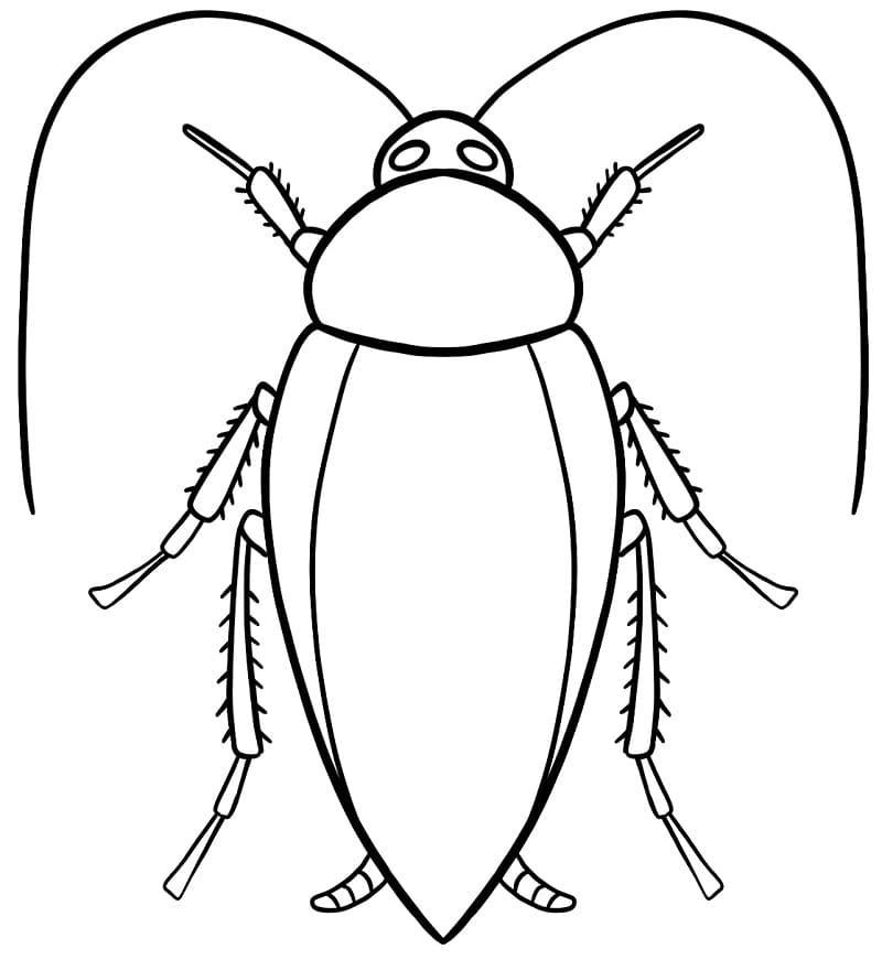 Free Cockroach for Kid Coloring Game Free Cockroach for Kid
