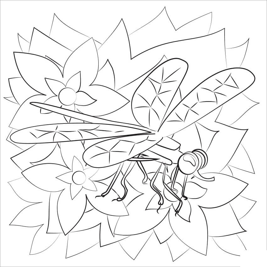 Free Dragonfly Coloring Game Free Dragonfly