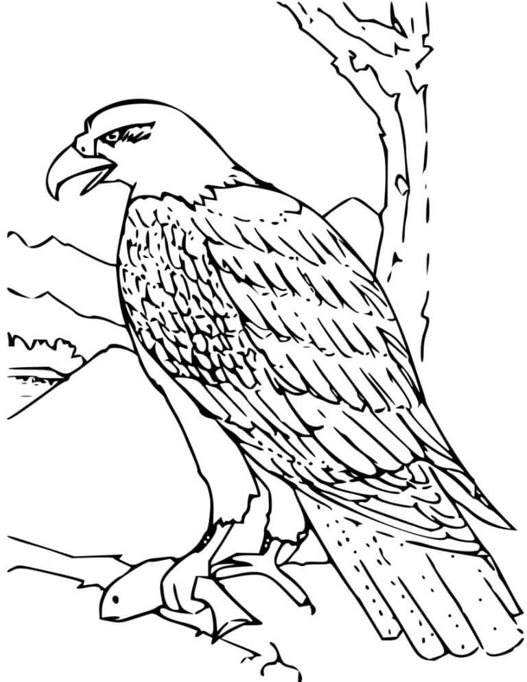 Free Eagle Coloring Game Free Eagle