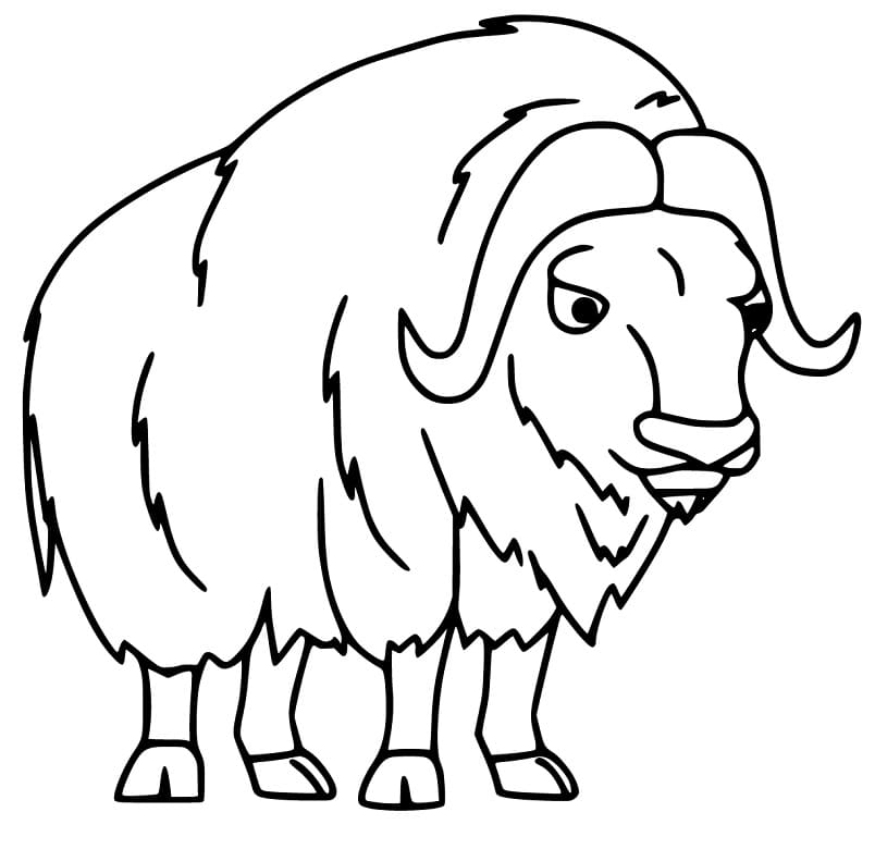 Free Musk Ox