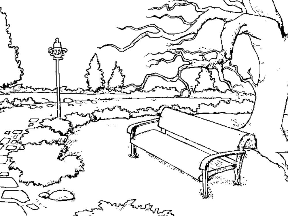 Free Park Coloring Game Free Park