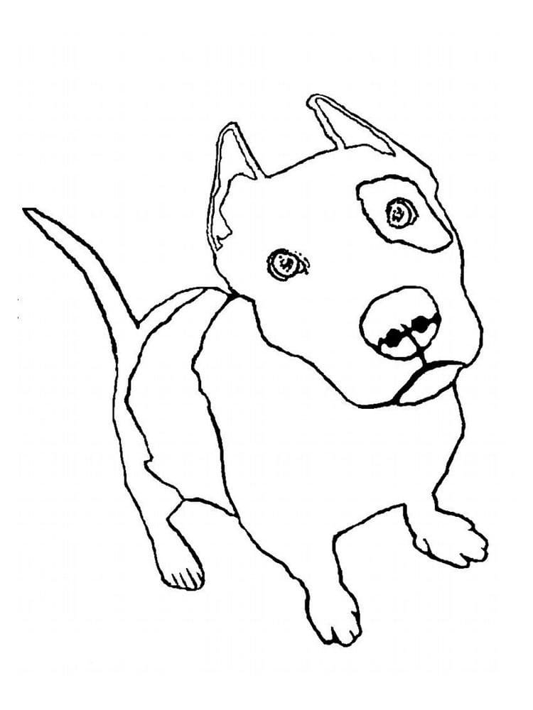 Free Pitbull Coloring Game Free Pitbull